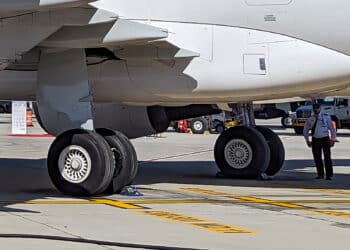 Freighter aircraft landing gear